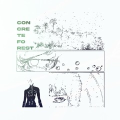 Concrete Forest