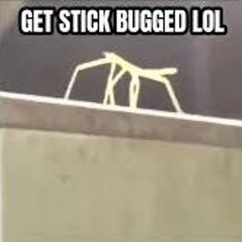 GET STICK BUGGED LOL