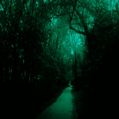 Westraloom - Rainforest