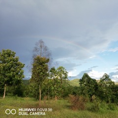 Romantic Love Songs - Instrumental Hits.mp3