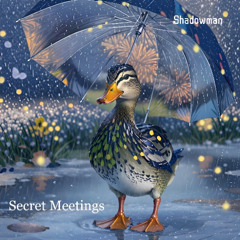 Secret Meetings * Instrumental