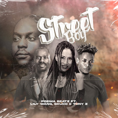 Poema, Lily Wang ft Skuco, Tony Z - Street Boy.wav