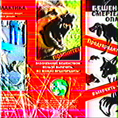 ⱽᴱᴿᴼʸᴬᵀᴺᴼˢᵀЬ:¹%[ᴿᴸᴿᴱᴹᴵˣ] ˣ ᴱᶜᴼᴰᴱᴿᴬ+