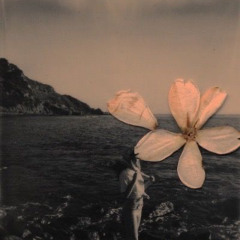 EMPTY pt.2 with Aline