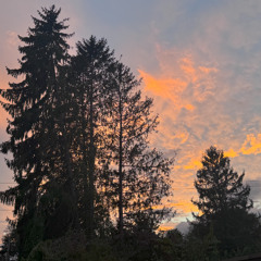 //2025//9//26//1000_miles//3_am_draft