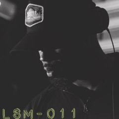 LSM - 011