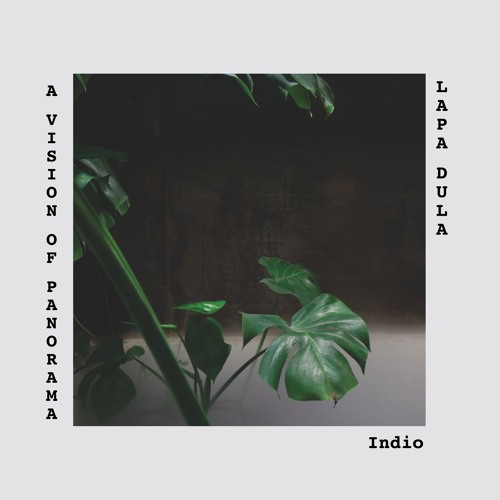 A Vision of Panorama - Indio (Dub Version)