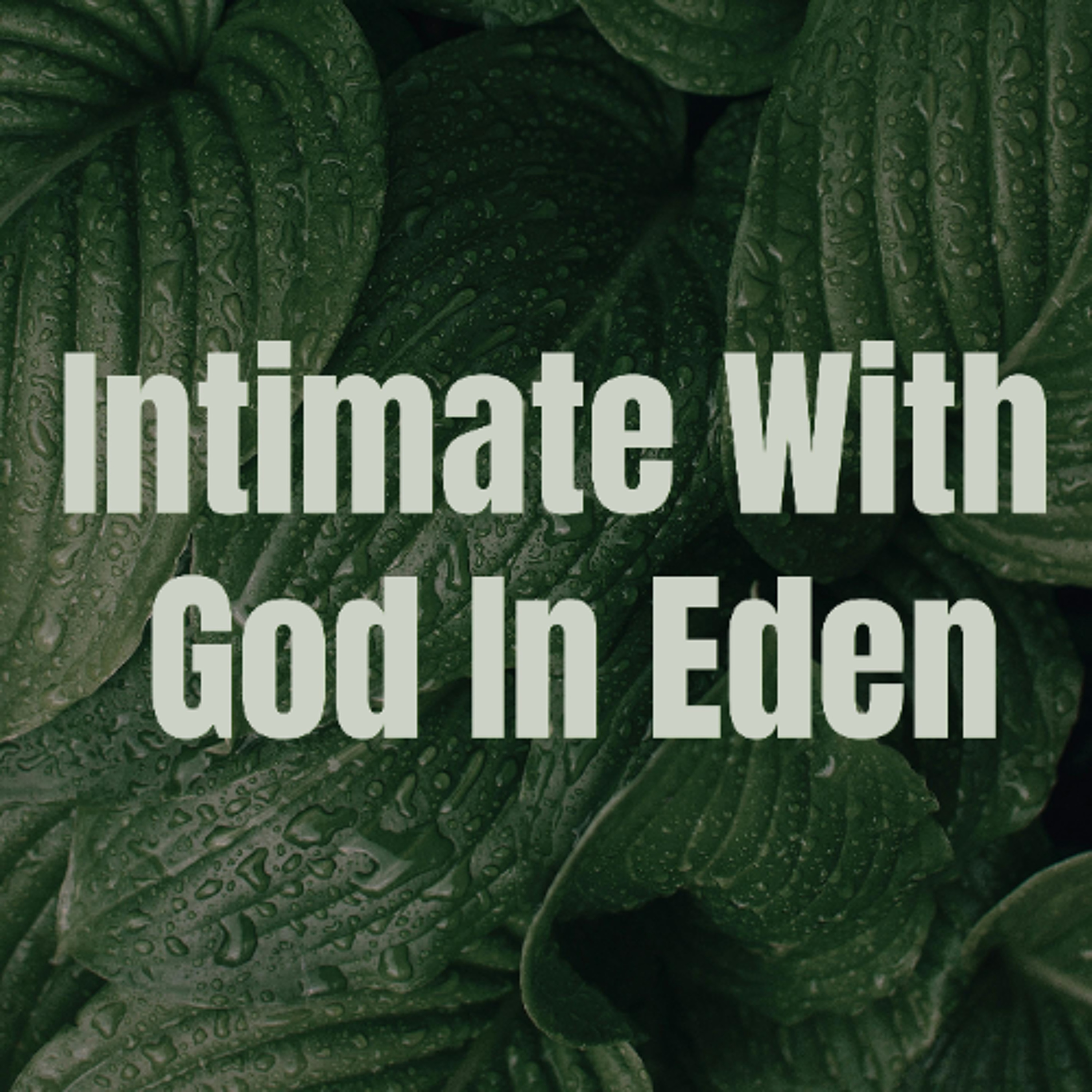 Intimate with God in Eden episode artwork