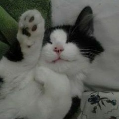 @ilycloudd & @leonandradej - Superação Digital [p. @4robocop]