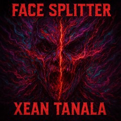 FACE SPLITTER