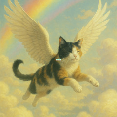 it's officially started...