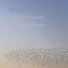 Light Refracted by Rusted Wings