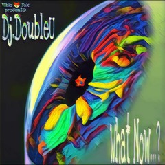 Vibie Fox Mix Series VOL.02 - What Now feat. DJ DoubleU