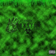 TOKSYNY (PROD.DODOWHATSTHEWORD,LENNY)