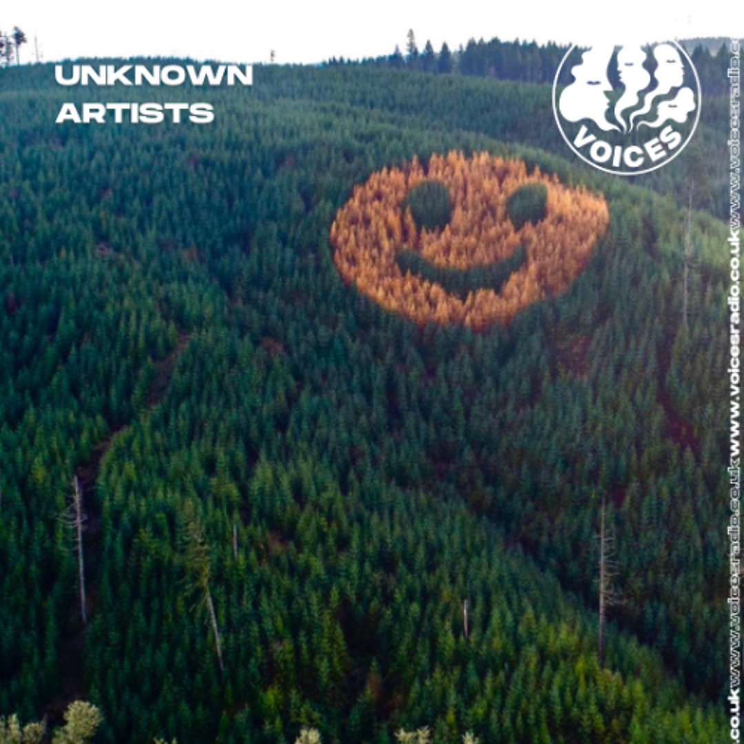 Stream Unknown Artists - 08/02/26 - [Voices Radio] by Voices Radio