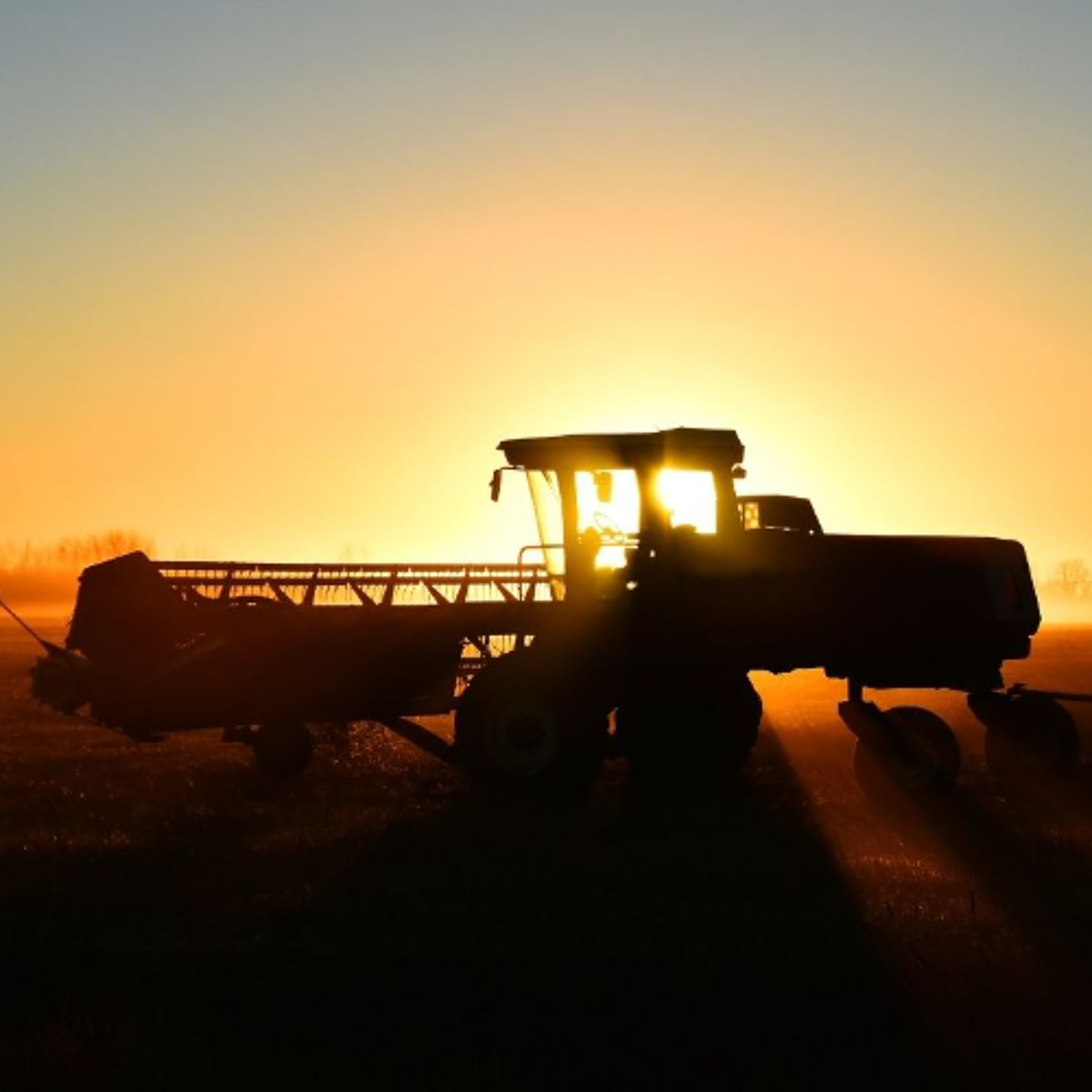 Smart-farming project, drought-resilient training aim to strengthen B.C. agriculture episode artwork