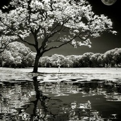 sacral cleanse washØut