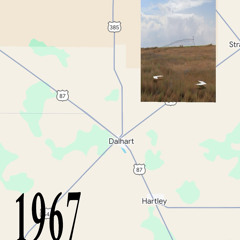 dalhart…