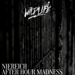Niereich - Afterhour Madness (Original Mix)