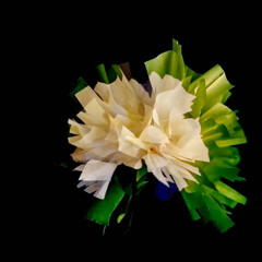 Una Canzone per Vera