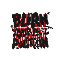 BURN YOUR LOCAL POLITICIAN !