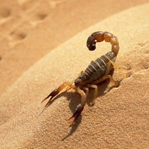 Anders Ist Anders (M+T:KR,Remix:H.Ostwald,Label:ZOUNDR))