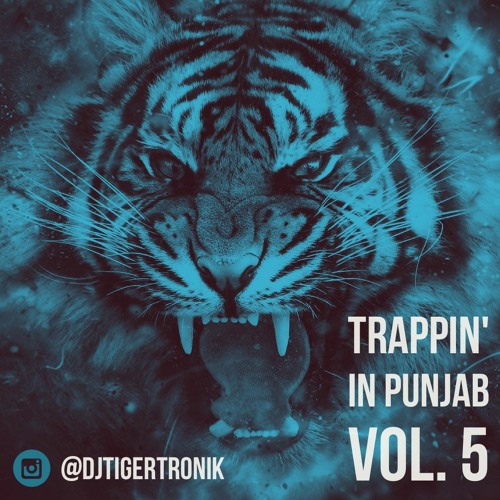 Trappin' in Punjab Vol. 5 | Party Mix | TIGERTRONIK