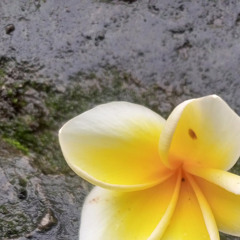 Yang utang kok marah