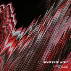 Camo & Krooked & Mefjus (Ft Sophie Lindinger) - No Tomorrow ( Noise Parfumerie Bootleg Remix )