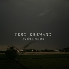 Teri Deewani (Slowed + Reverb) || Dal makhani