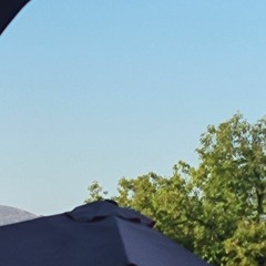 Phone Guy sings peaches