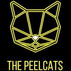 The Peelcats@Technopolis-2022