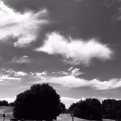 In Dreams