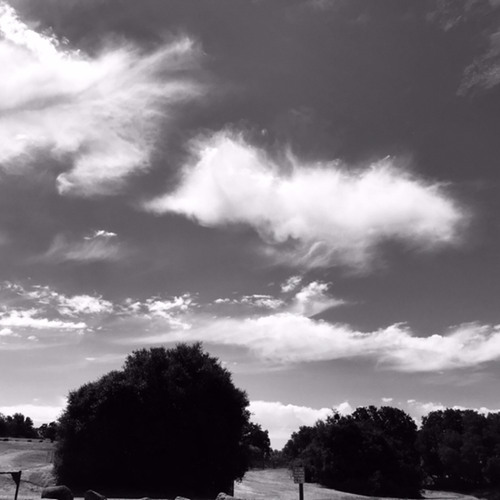 In Dreams