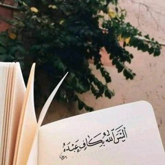 فيم الركون_سلمان الملا