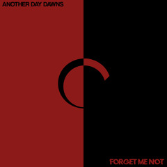 Forget Me Not (Radio Edit)