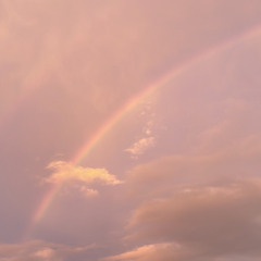 YONLAPA - Why Why Why (cover)