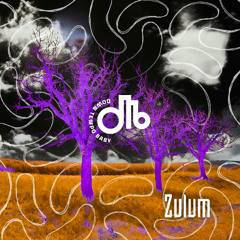 Zulum / downtempo, baby! / # 71