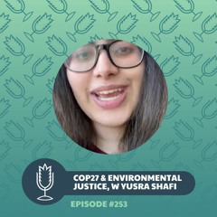 From The Ground Up Ep. 253: COP27 and environmental justice, with Yusra Shafi | 2022.10.26