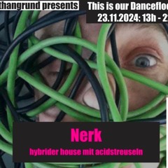 Nerk live at 4lthangrund Vienna 23.11.24 (edit)