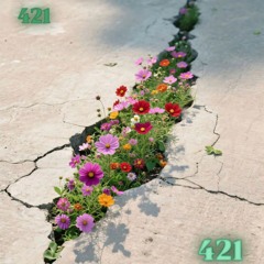 Deep Resonance 12