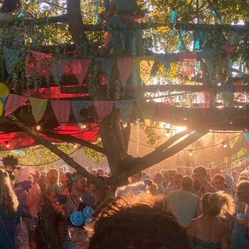 Sunset on the Treehouse Stage, GIVE 2025