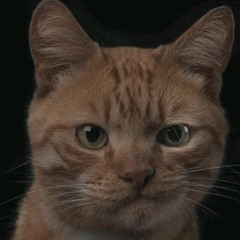 FUNKOT PONTIANAK ADISUCIPTO