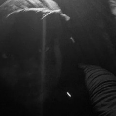 heartless x vxto