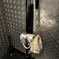 knightsinsparklyarmor.wav