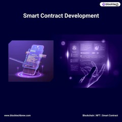 Smart Contract Development Company - Block Tech Brew