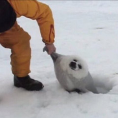 4 Ma steez feat.MAT (Prod.Carbon Fiber)