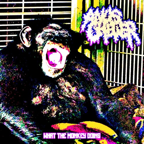 Anus Chewer - WHAT THE MONKEY DOIN