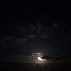 سقط اللّيل علي وتمَادى ..