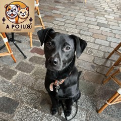 A Poil(s) - Episode 3 - Presto & Mai-Loan